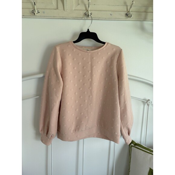 Women’s Anthropologie Pink Sweatshirt Cottage Core Textured medium Lili's Closet - Picture 1 of 6